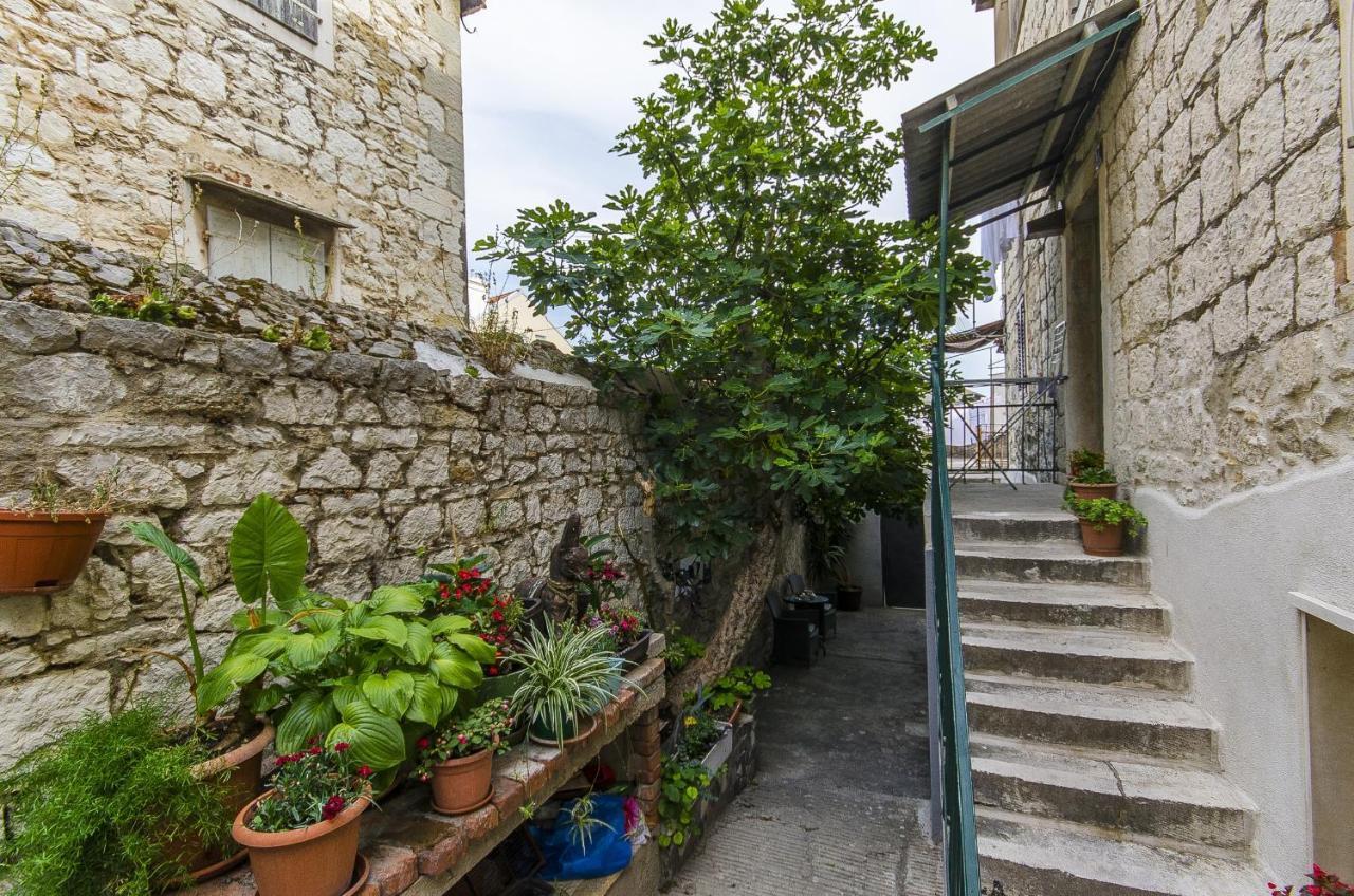 Spirit Of Old Apartment Split